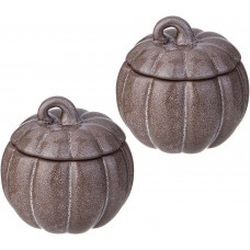 AGNESS 490-473 ТЫКВА с крышкой 250мл (2 предмета)