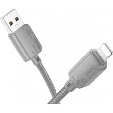 HOCO (6942007646130) X113i USB 2.4A для Lightning , Grey