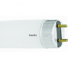 CAMELION (5873) FT8 10W/33 COOL LIGHT 4200K (Люм. лампа 10 Ватт, L=345,5 MM)