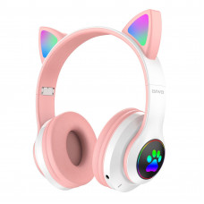 AIWA AW001