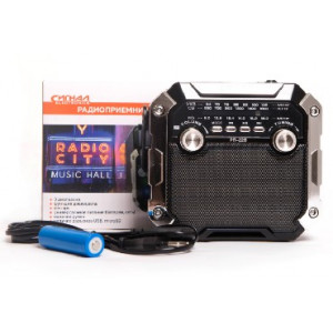 СИГНАЛ РП-228 УКВ 64-108МГц, 220V, акб 1200mA/h, USB/microSD/AUX, светодиодный фонарь/дискосвет