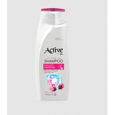ACTIVE Шампунь укрепляющий, защита от выпадения волос CARE & BEAUTY. С корнем женьшеня, цветком гибискуса и витамином B6, 350 мл (512102056)