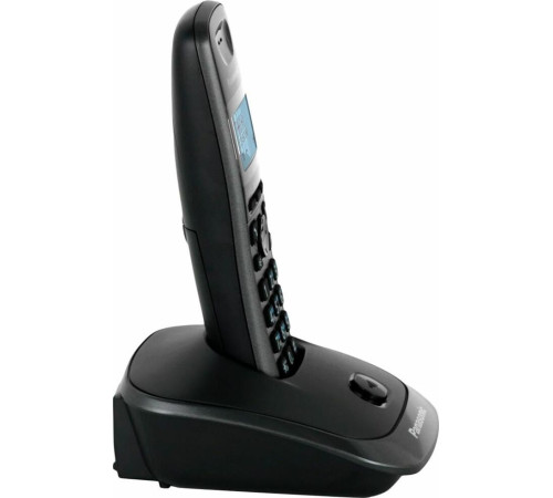 PANASONIC KX-TG2511RUT