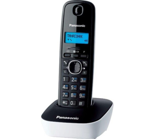 PANASONIC KX-TG1611RUW