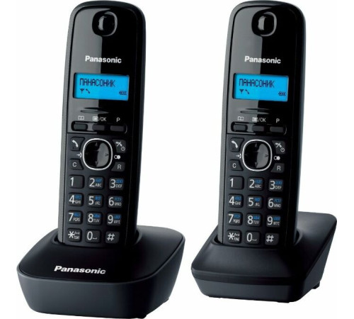 PANASONIC KX-TG1612RUH