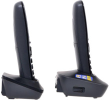 PANASONIC KX-TG1612RUH