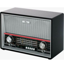 RITMIX RPR-102 черный (карбон)