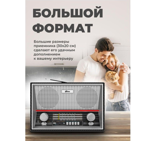 RITMIX RPR-102 черный (карбон)