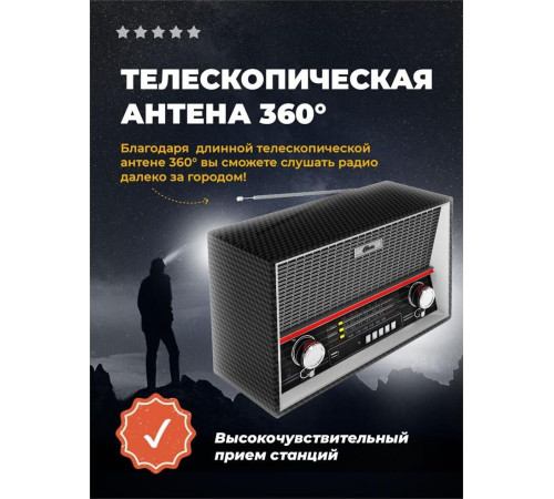 RITMIX RPR-102 черный (карбон)