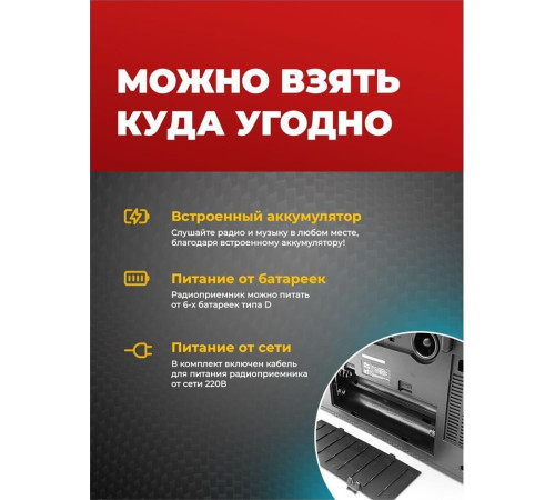 RITMIX RPR-102 черный (карбон)