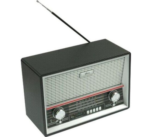 RITMIX RPR-102 черный (карбон)