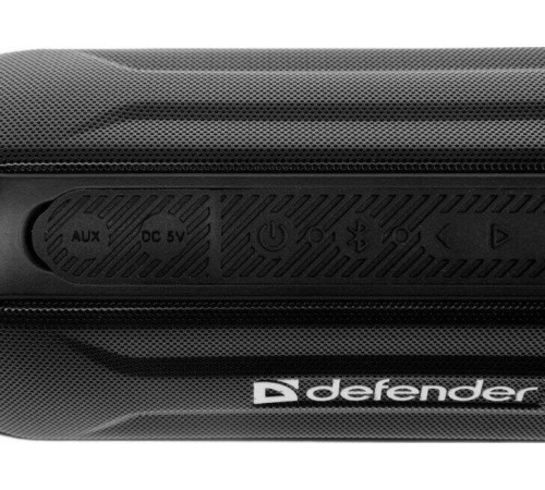 DEFENDER (65688) ENJOY S1000 черный