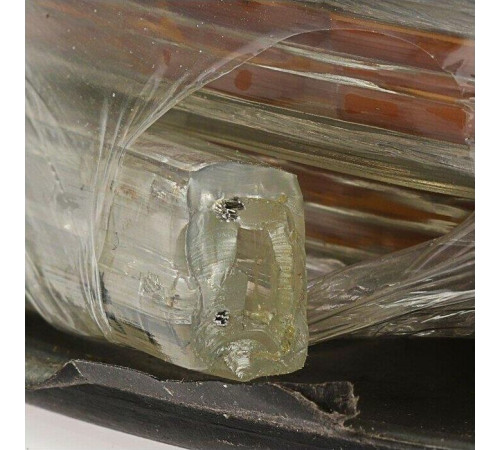 ECOLA P2LM14ESB 14.4W/M 12V IP20 10MM 60LED/M RGB разноцветная