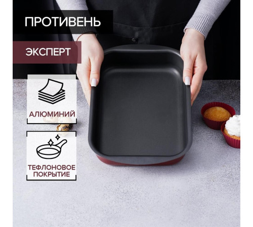 SCOVO СЭ-047 expert 290х200х50 мм