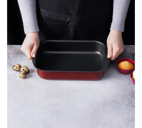 SCOVO СЭ-047 expert 290х200х50 мм