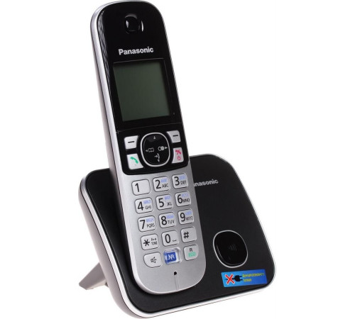 PANASONIC KX-TG6811RUB