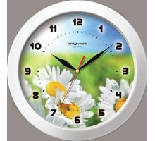 TROYKA РОМАШКИ 51510532