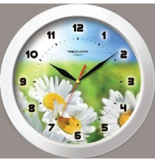 TROYKA РОМАШКИ 51510532