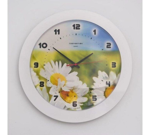 TROYKA РОМАШКИ 51510532