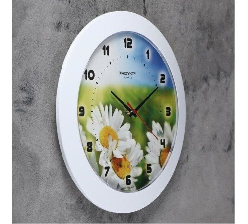 TROYKA РОМАШКИ 51510532