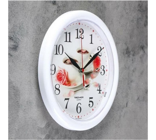 TROYKA ЧАЙНАЯ ПАРА 21210251