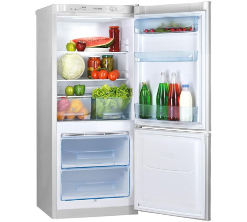 POZIS RK-101 250л серебристый