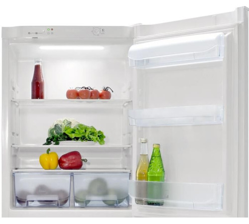 POZIS RK-101 250л серебристый