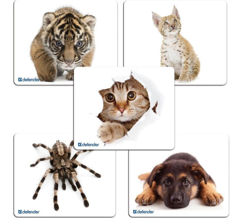 DEFENDER (50706) SILK - 10 видов ассортимент