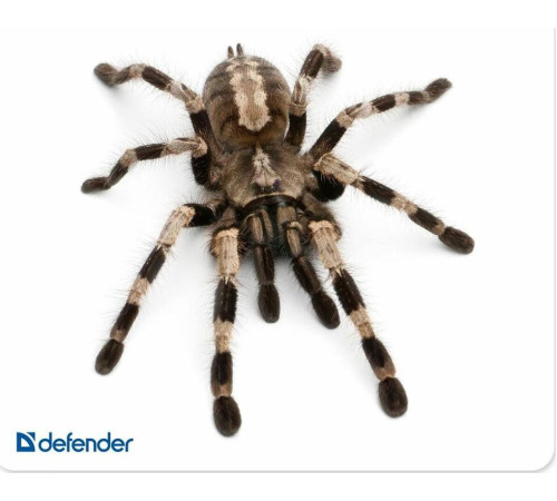 DEFENDER (50706) SILK - 10 видов ассортимент