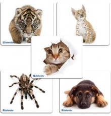 DEFENDER (50706) SILK - 10 видов ассортимент