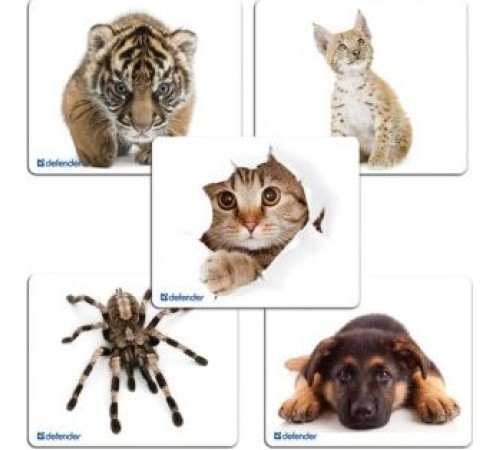 DEFENDER (50706) SILK - 10 видов ассортимент