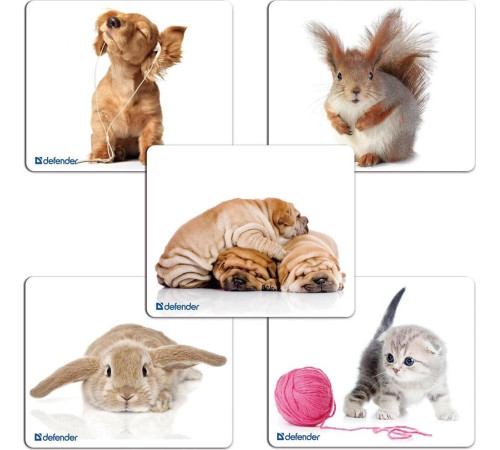 DEFENDER (50706) SILK - 10 видов ассортимент