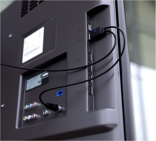 РЭМО (504031) BAS-5138-5V CORAL - активная