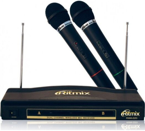 RITMIX RWM-220