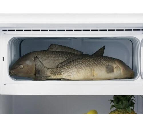 Холодильник DON R-431 В 210л белый