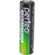 PERFEO (PF-4157) AA2500MAH-2BL