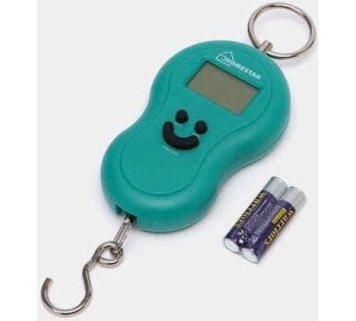 HOMESTAR HS-3003 (002692) безмен