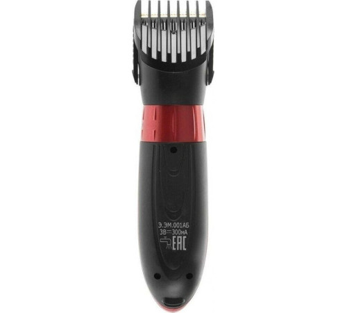 БЕРДСК Э.ЭМ-001.АБ