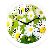 ENERGY EC-98 ромашки