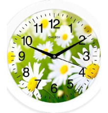 ENERGY EC-98 ромашки