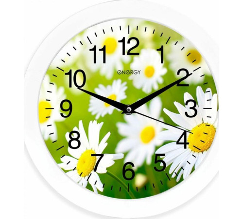 ENERGY EC-98 ромашки