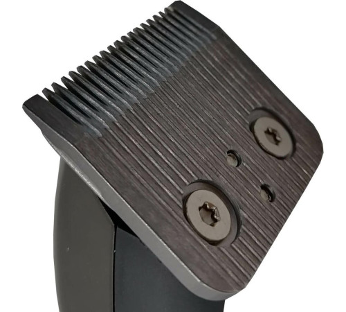 БЕРДСК 5202АС