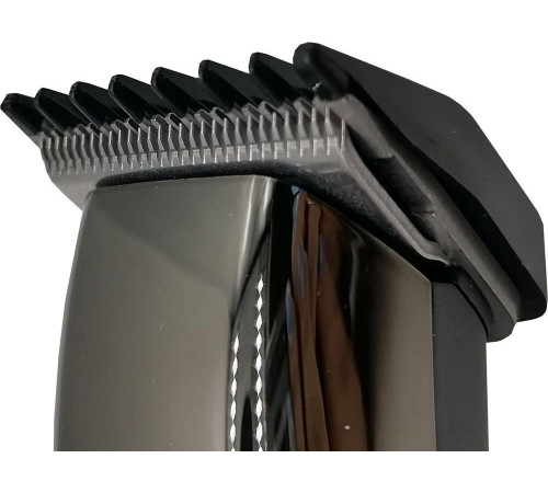 БЕРДСК 5202АС