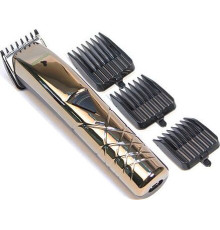 БЕРДСК 5202АС