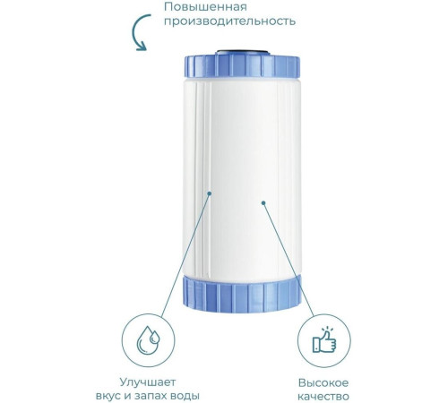 БАРЬЕР Р451Р00 ПРОФИ BIG BLUE 10 Посткарбон