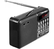 PERFEO (PF-A4870) PALM черный