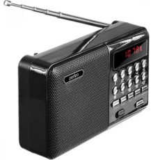 PERFEO (PF-A4870) PALM черный