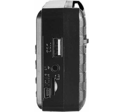 PERFEO (PF-A4870) PALM черный