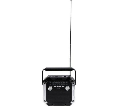 СИГНАЛ РП-228 УКВ 64-108МГц, 220V, акб 1200mA/h, USB/microSD/AUX, светодиодный фонарь/дискосвет