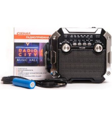 СИГНАЛ РП-228 УКВ 64-108МГц, 220V, акб 1200mA/h, USB/microSD/AUX, светодиодный фонарь/дискосвет